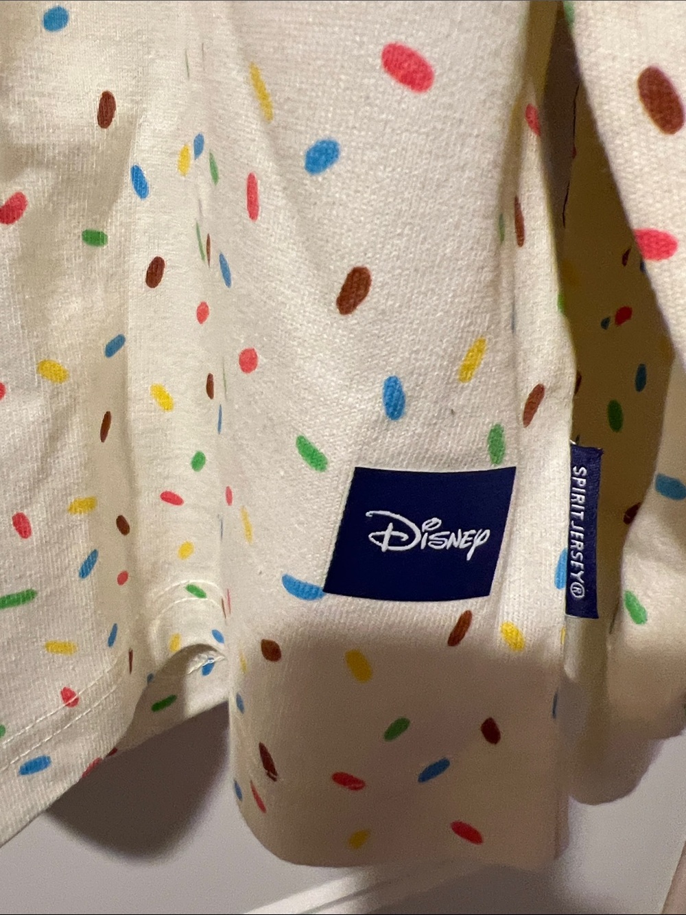 Disney Disneyland Resort unisex sweatshirt nwt - Picture 2 of 4